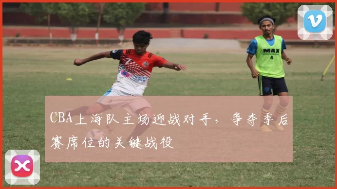 CBA上海队主场迎战对手,争夺季后赛席位的关键战役