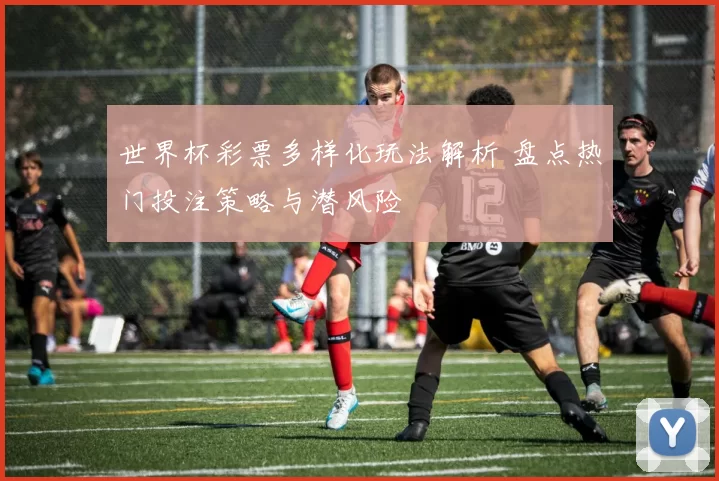 世界杯彩票多样化玩法解析 盘点热门投注策略与潜风险