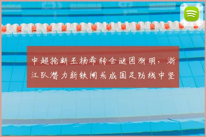 中超抢断王杨希转会谜团渐明,浙江队潜力新铁闸或成国足防线中坚_防守_1_亚冠